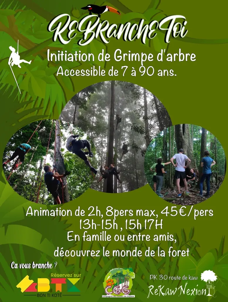 Initiation de Grimpe d'Arbre à Rekawnexion, Rekawnexion PK30 Route de kaw, Roura 97351, French Guiana — photo 1