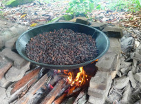 ARTISAN CHOCOLATIER EN GUYANE : CACAO D'AMAZONIE