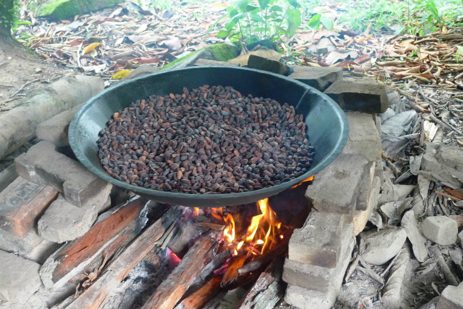 ARTISAN CHOCOLATIER EN GUYANE : CACAO D'AMAZONIE